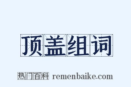 顶盖组词是什么意思的图片